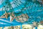 Antigua, West Indies. Local sea shells hanging from a net Art Print